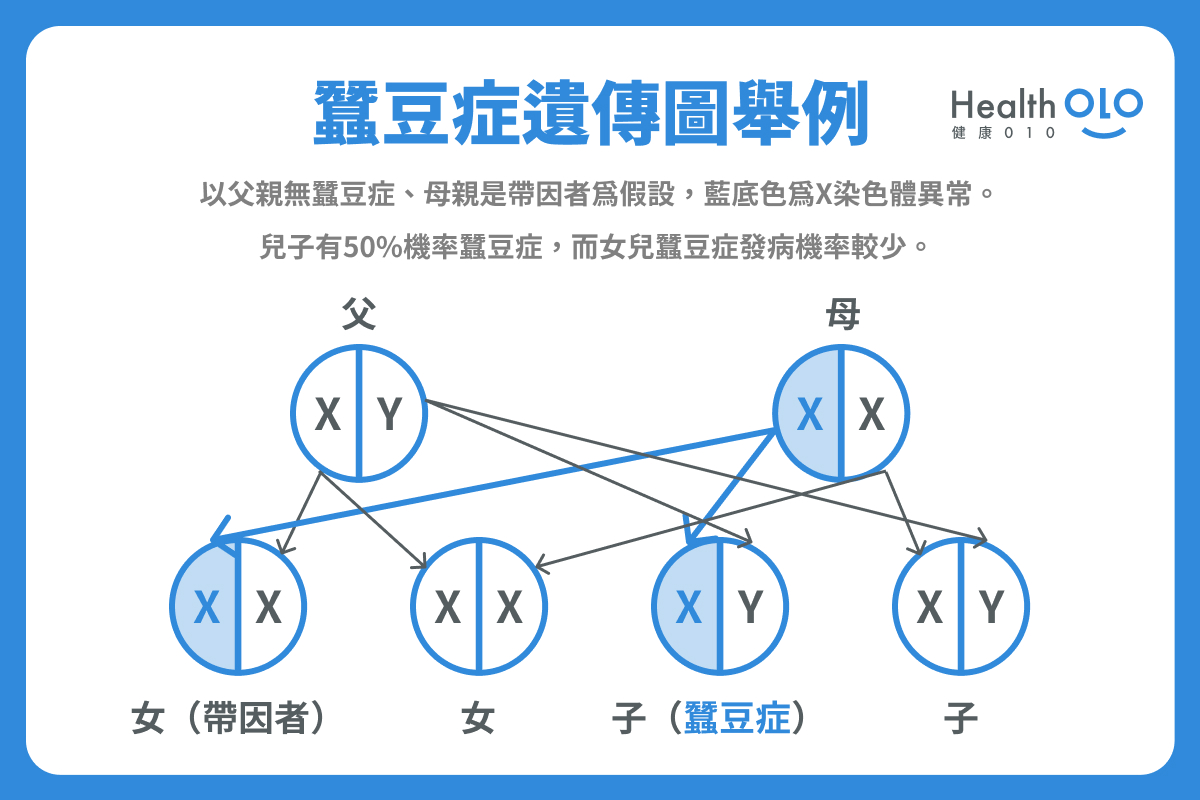 蠶豆症遺傳圖舉例