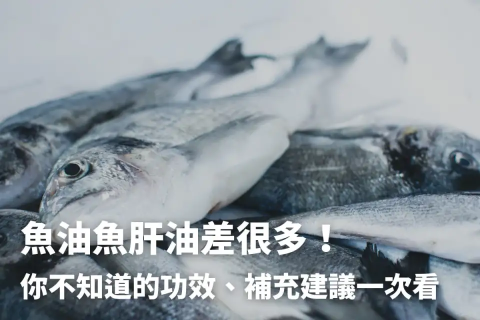 魚油魚肝油差很多！營養師公布魚肝油功效差異、補充建議