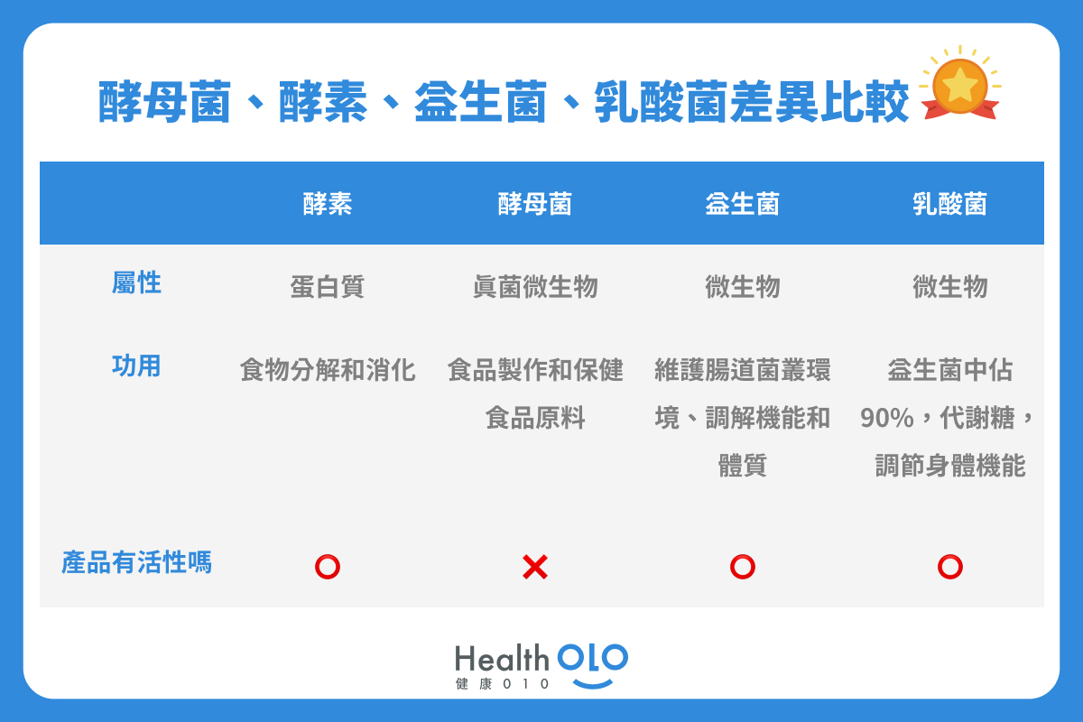 酵母菌、酵素、益生菌、乳酸菌差異比較表