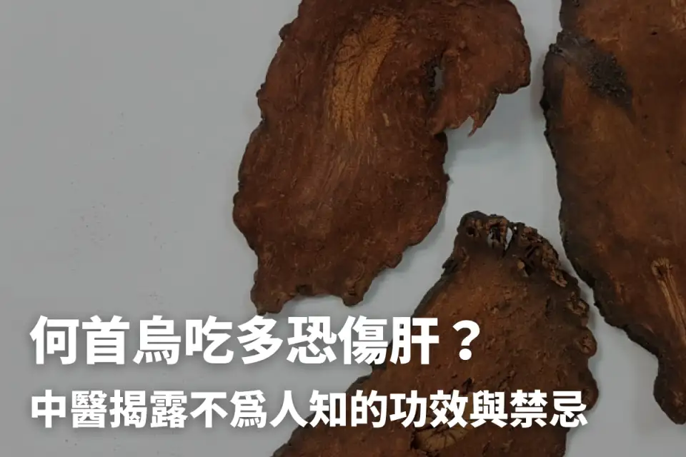 何首烏秋冬進補怎麼吃？醫列功效禁忌＋何首烏藥膳做法