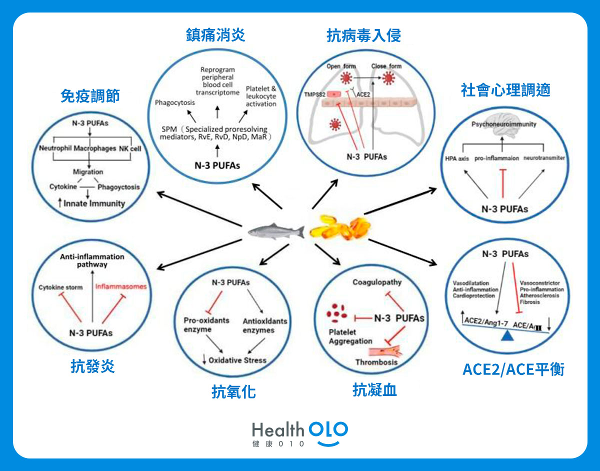 omega-3在參與體內反應的各項機制