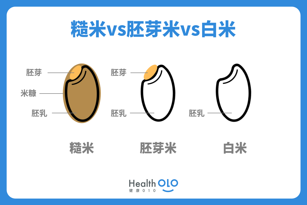 糙米VS胚芽米VS白米