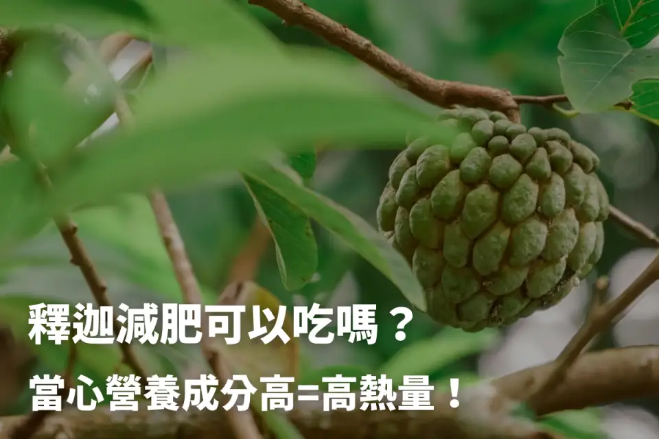 釋迦減肥可以吃嗎？當心營養成分高=高熱量！