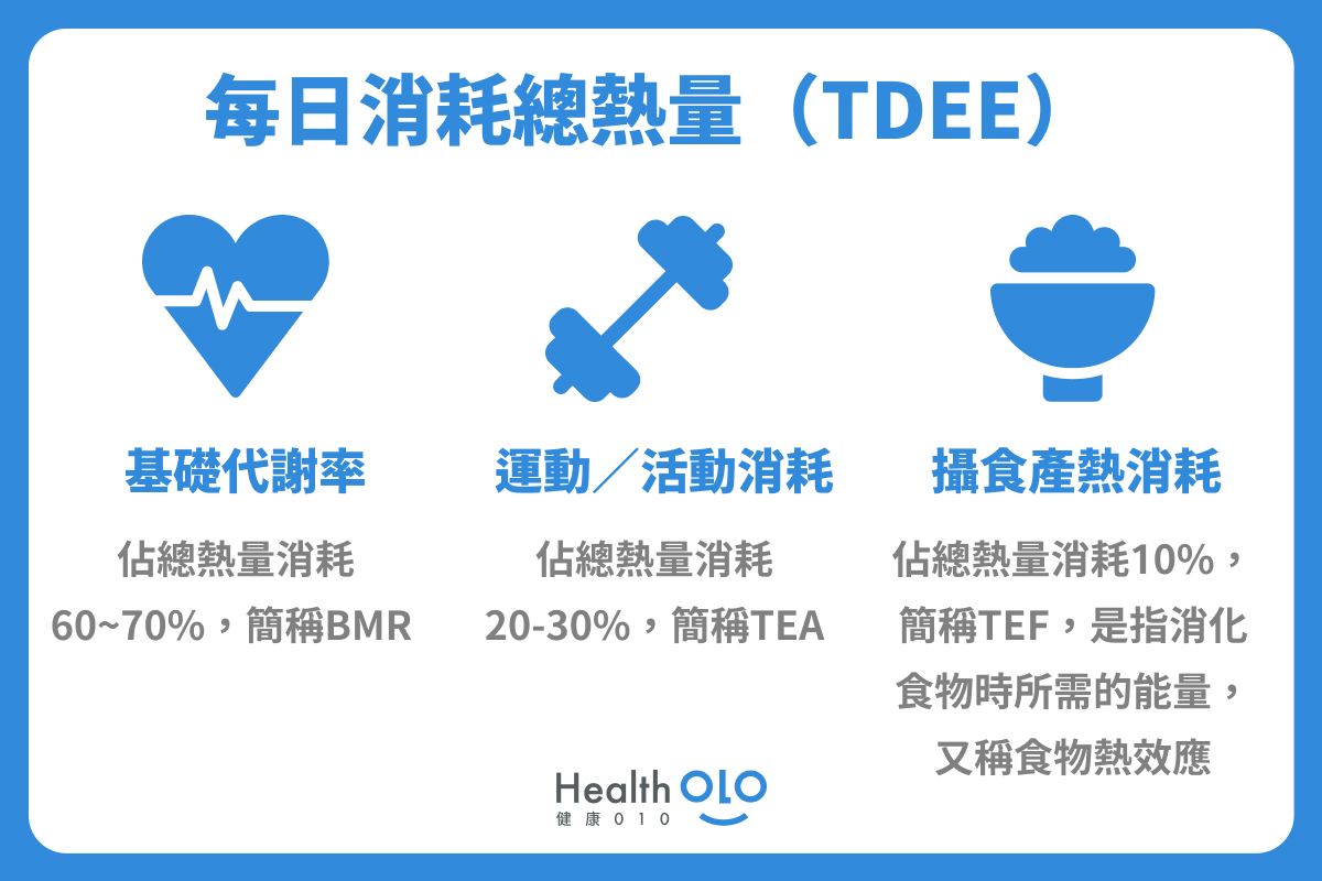 每日消耗總熱量（TDEE）