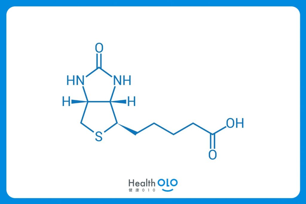 生物素是什麼？生物素（英文：biotin），又稱維生素H、維生素B7等，為維生素B群之一。