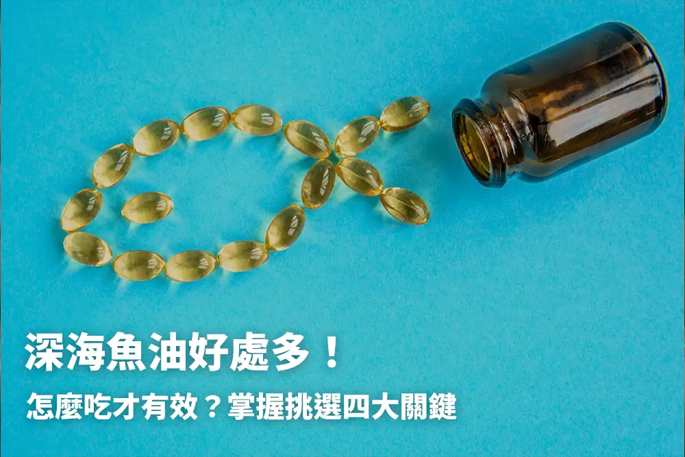 深海魚油好處多！怎麼吃才有效？掌握挑選四大關鍵