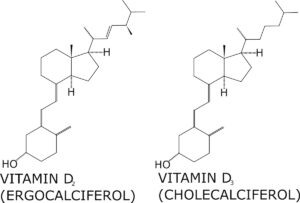 維生素D3的維生素D2差別