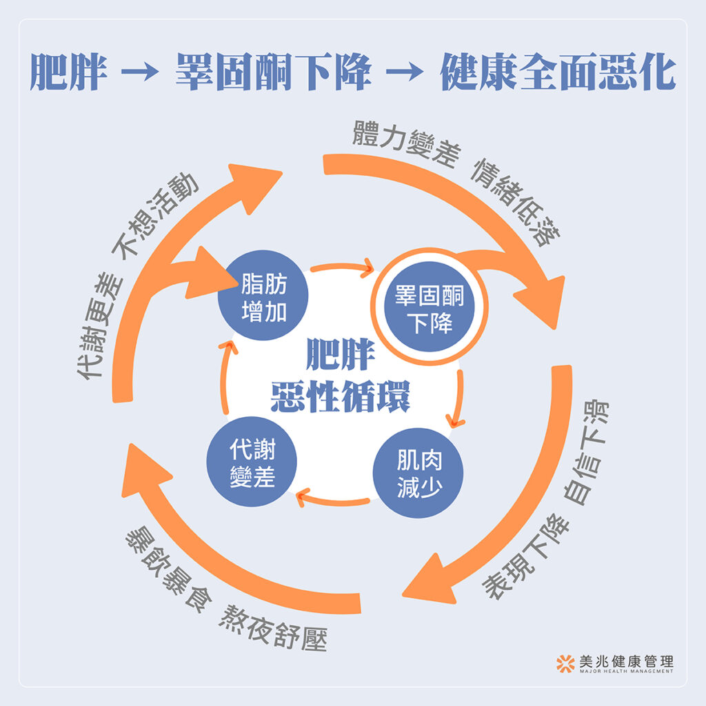 許多年輕男性在30歲出頭就已出現肥胖、血糖異常與代謝症候群等問題，進一步引發男性荷爾蒙睪固酮下降，甚至走入更大的健康惡性循環。